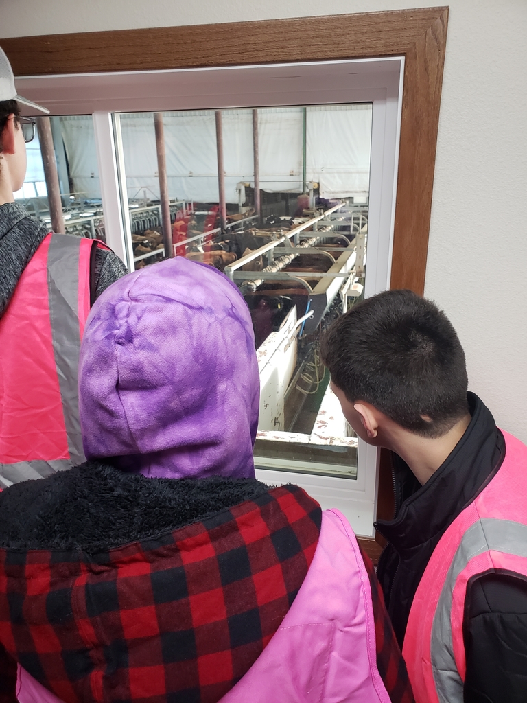 3. Milking station